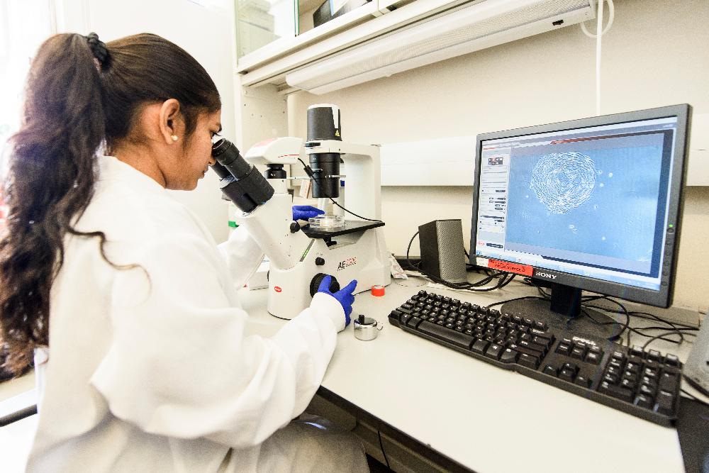 Scholars & Employees