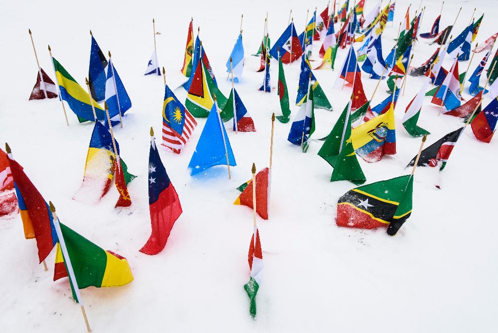 Int'l Flags